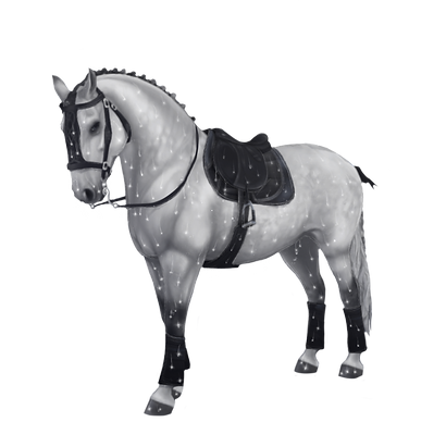 clubfit horse.png