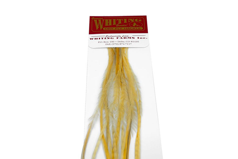 Miniaturbild: Whiting 100 Pack Size 16 Light Ginger Trockenfliegenhecheln zum Fliegenbinden