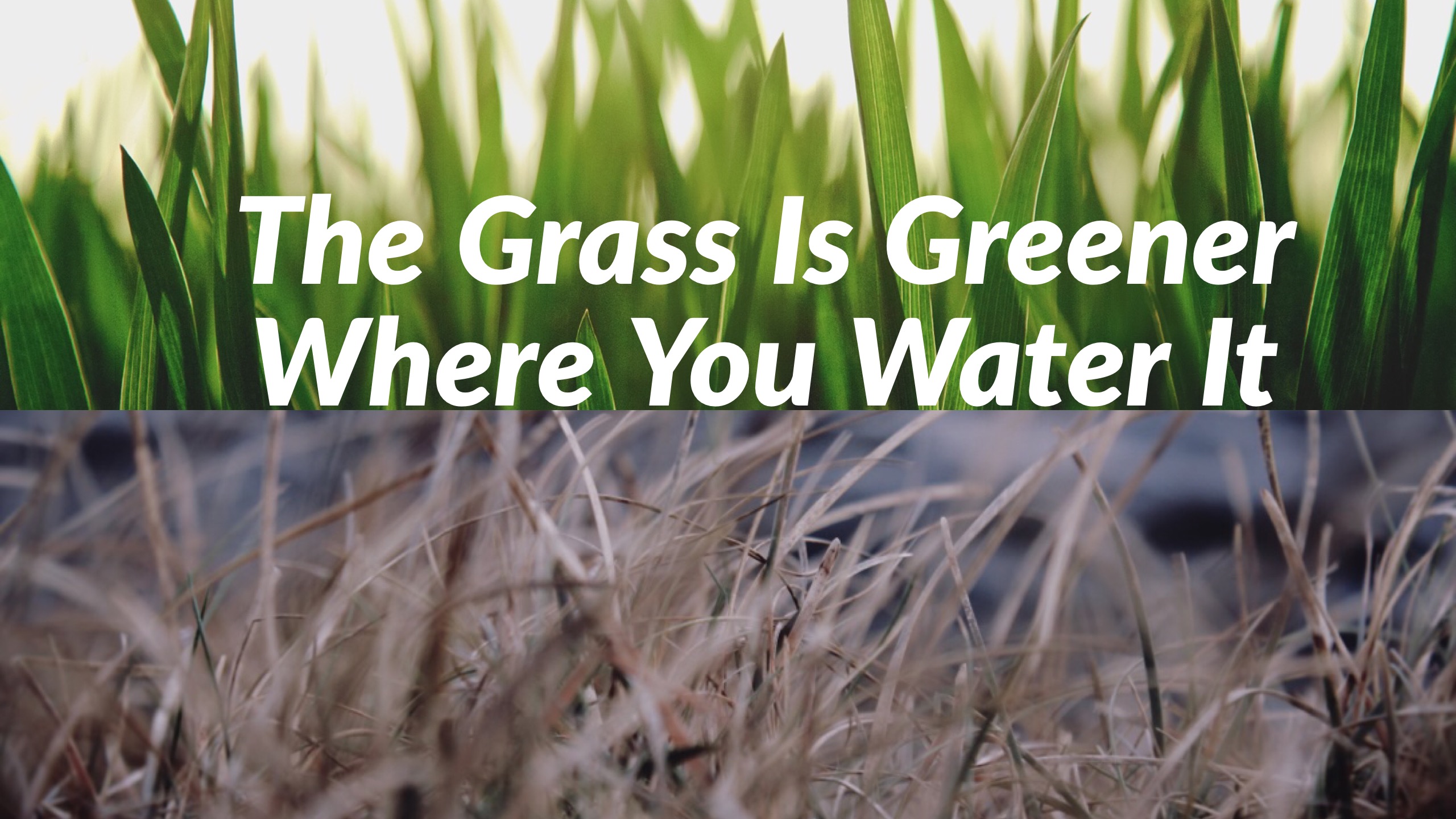 The Grass Is Greener Where You Water It