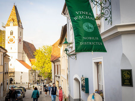 Wachauer Weinfrühling