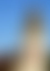 :: European Heritage Award & Europa Nostra Award 2025 für das Spitzer Kirchendach ::