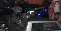 tpd1.png