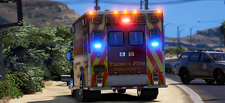 ems.png