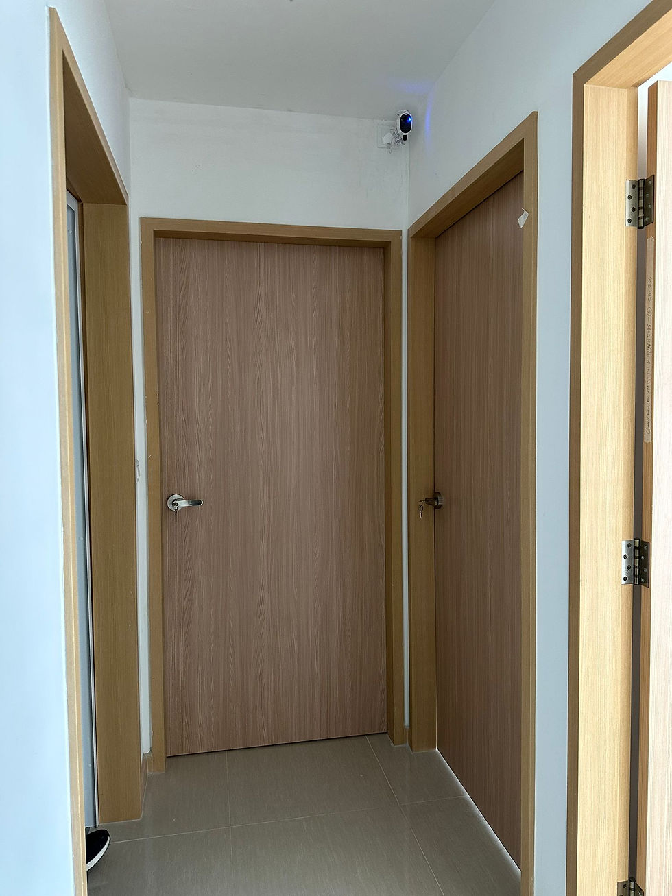 Laminate door image 2