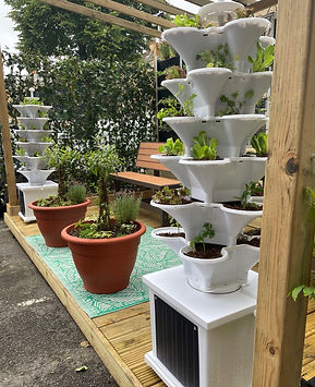 Acqua Garden vertical growing systems in a garden terrace