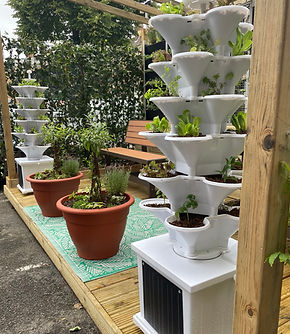 Acqua Garden vertical growing systems