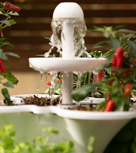 Acqua Garden vertical growing systems with water feature cascading