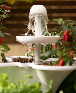 Acqua Garden vertical growing systems with water feature cascading