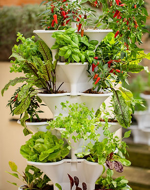 Acqua Garden Vertical growing systems with vegetables planted in a sunny garden terrace