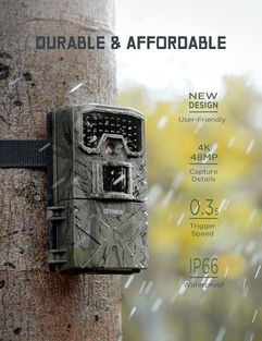 Thumbnail: Wildlife night camera on tree
