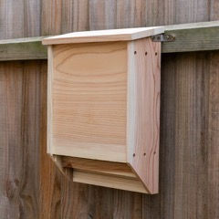 Bat Boxes