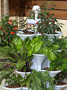 Acqua Garden vertical growing systems in a garden terrace