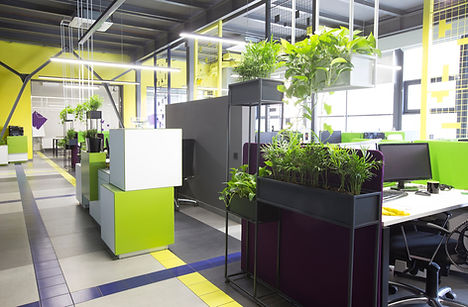 Modern office space with indoor plants incorporated into the design