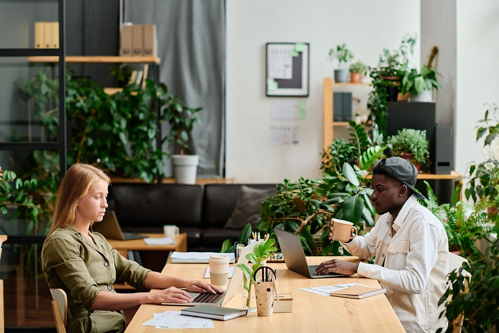 Two colleagues sit in an office surrounded by potted indoor plants