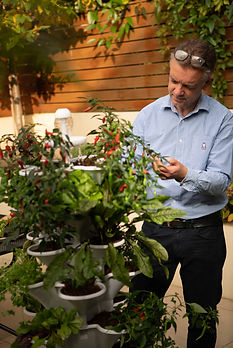 A man stands next to the Acqua Garden vertical growing systems in a garden terrace