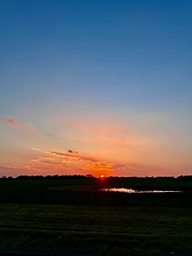 IMG_4216.heic