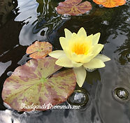 IMG_4614_edited.jpg