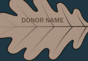 Screen Shot 2023-03-04 at 5.41.44 PM.png