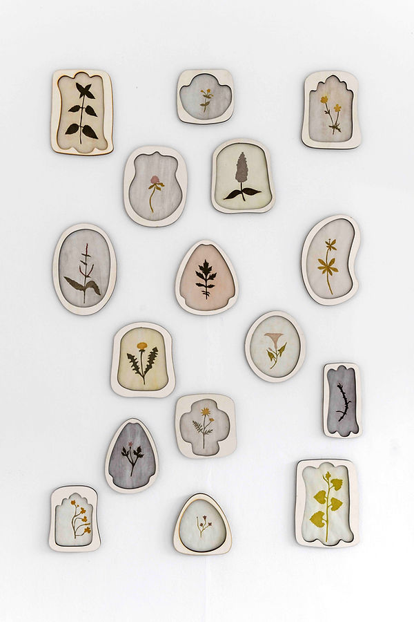 Mansi Shouche 05.2jpg.jpg