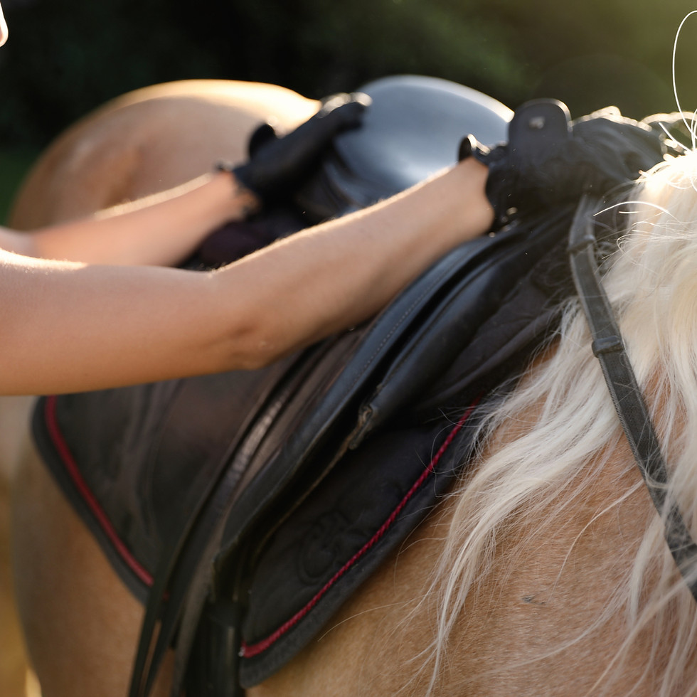 Thumbnail: Pet Skin Relief & Wellness Spray