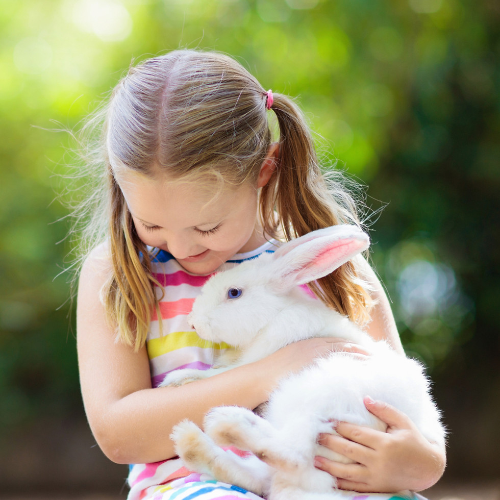 Thumbnail: Pet Skin Relief & Wellness Spray