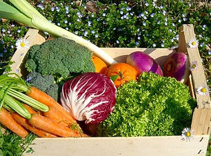 WhatsApp Image 2022-01-15 at 18.22.18 (3).jpeg