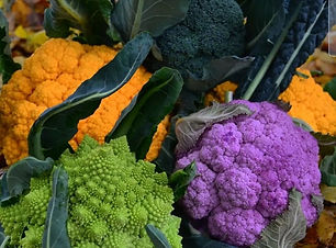 WhatsApp Image 2022-01-15 at 18.22.18 (2).jpeg