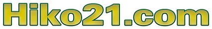 HIKO21.com - LOGO - alkuperäinen.png