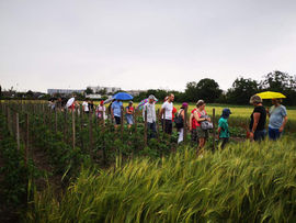 AfterWork am Bauernhof_Dorf in der Stadt_(c) ÖKL_230623 (16).JPG