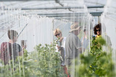 AfterWork am Bauernhof_Grand+ioses Gemuese_230616 (c) Reinhard Gessl (33).jpg