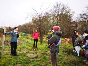 AfterWork am WeltTellerFeld_221118 (7).jpg
