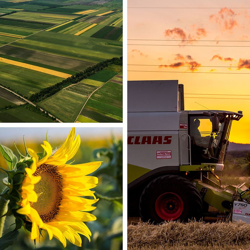 PANNATURA_LANDWIRTSCHAFT_VIELFAELTIGE-KULTUREN-1