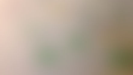 平屋プラン