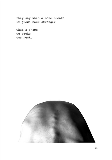 Screen Shot 2025-11-04 at 3.44.47 pm.png