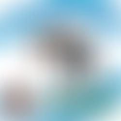 🟡 7月スタート Body Movement （体の動かし方）