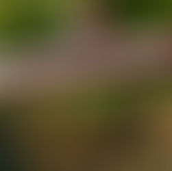 Torna il nostro aperitivo estivo, per chiacchierare, fare rete e festeggiare insieme il nostro gruppo!