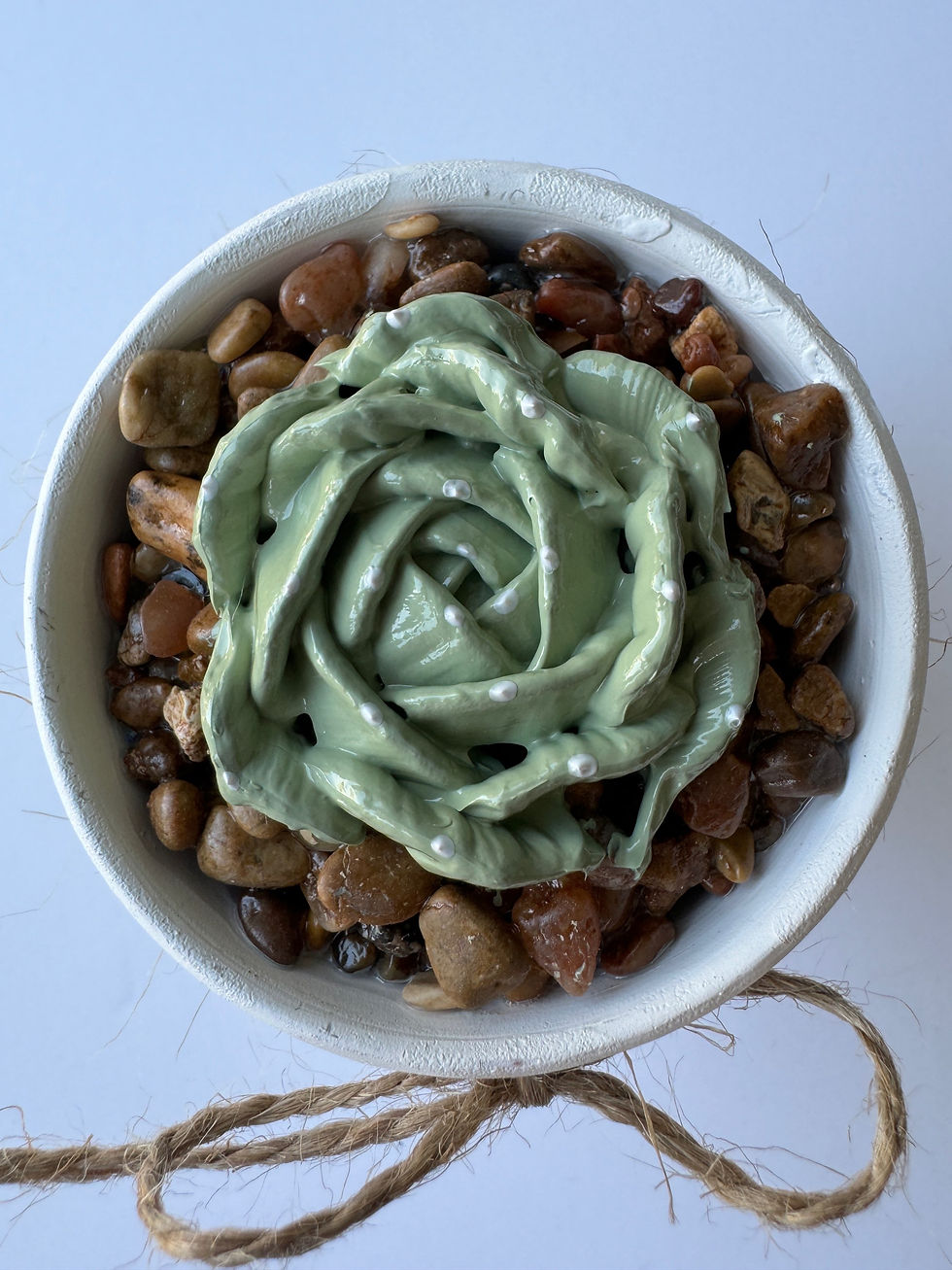 Thumbnail: Fatima Succulent