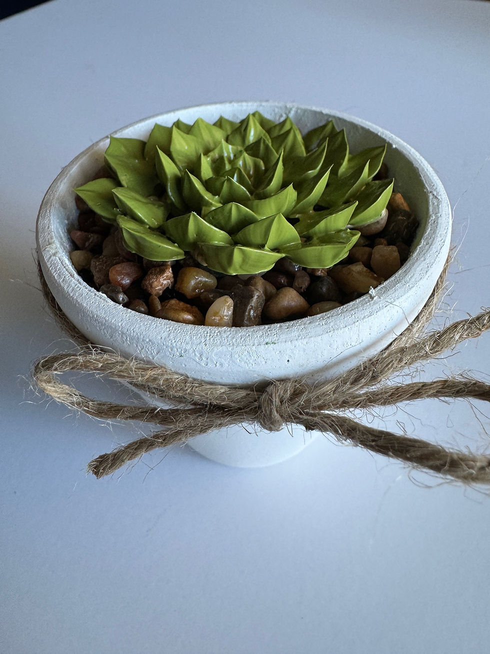 Thumbnail: Maggie Succulent