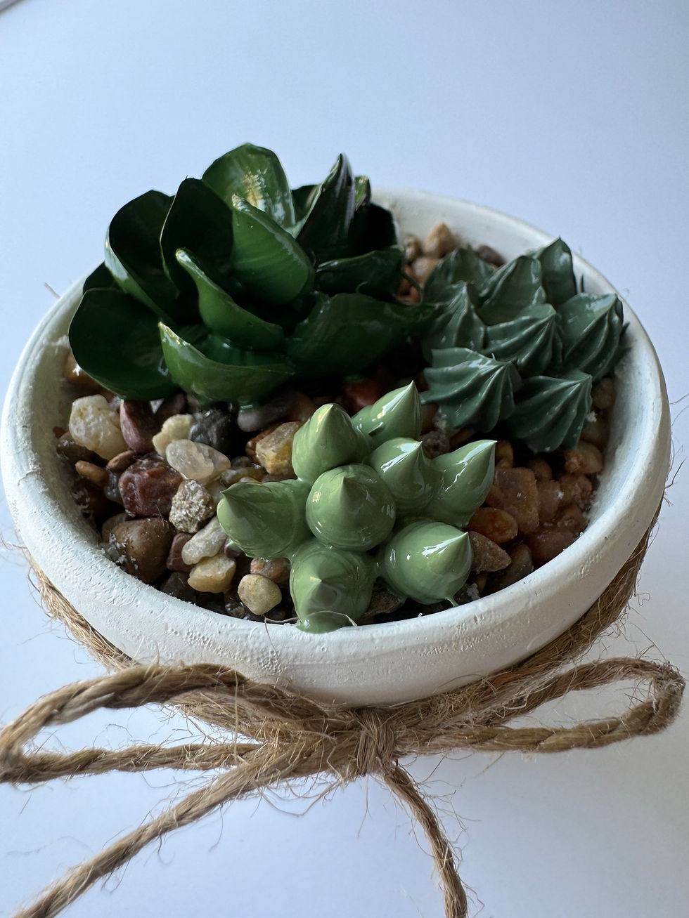 Luisa Succulent
