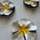 Thumbnail: White Plumeria Magnet