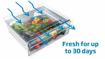 Fridges That Keep Fruit & Veg Fresh with EverFresh+®