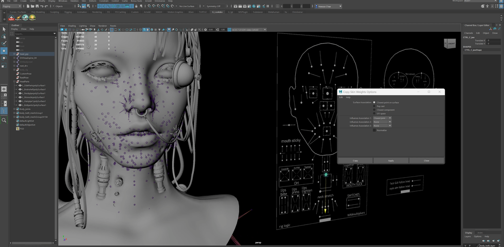 MHC facial rig