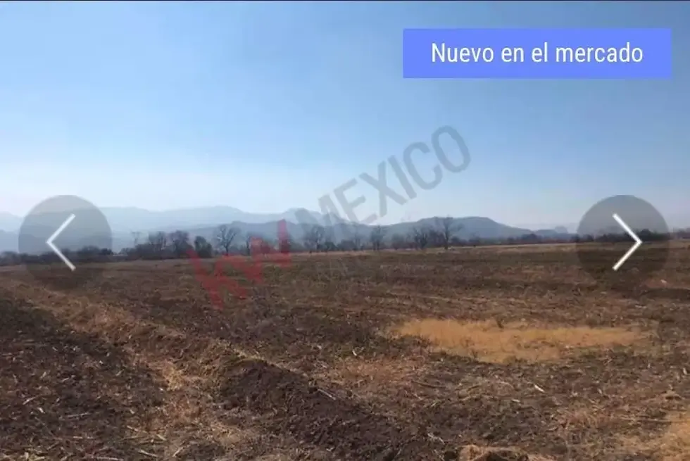 Terreno 6 de enero 3.webp