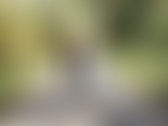 The foundation of true healing