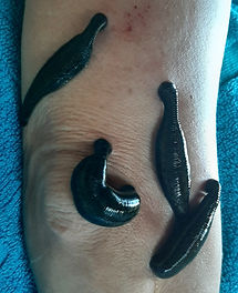 20251115_121330_edited.jpg