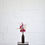 Miniaturbild: Sträusse und Arrangements