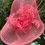 Thumbnail: Coral Feather and Diamante Hatinator