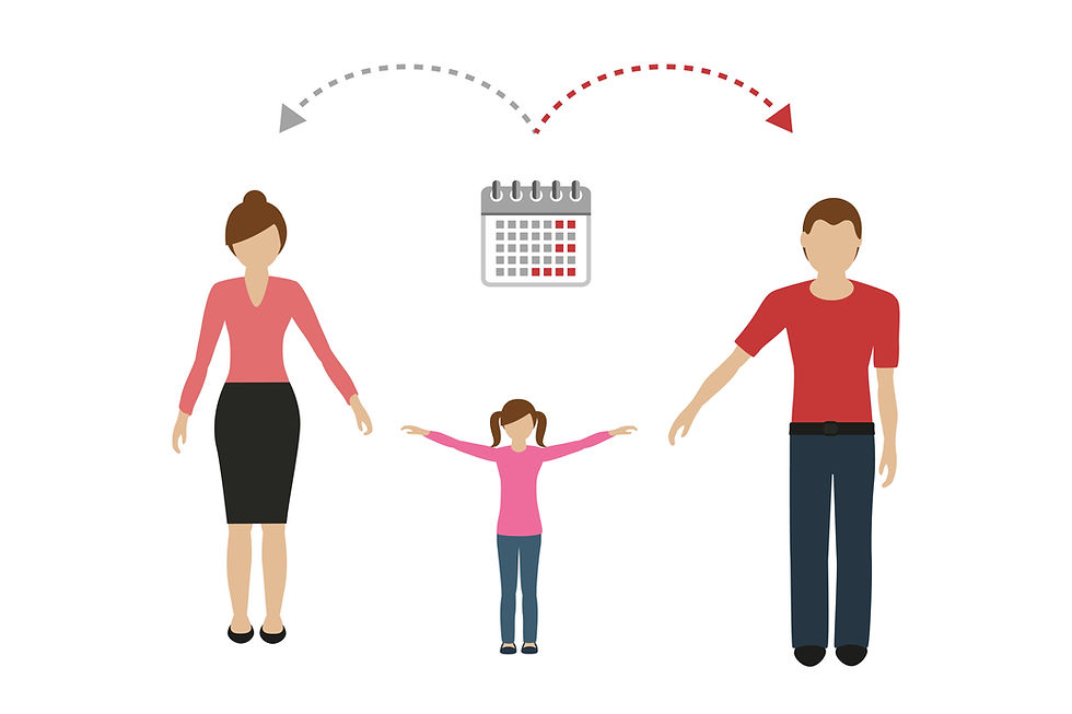 What are my custody rights while I’m getting divorced?