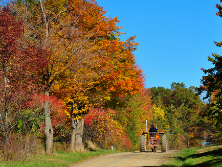 Hello There, Beautiful Fall