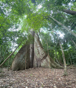 image00043